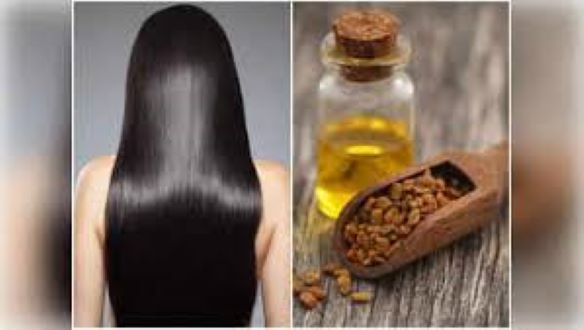 Picture of Fenugreek oil ( Methi tel )-100ml (Organic)