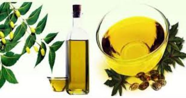 Picture of Neem oil -Neem Tel-100ml(Organic)