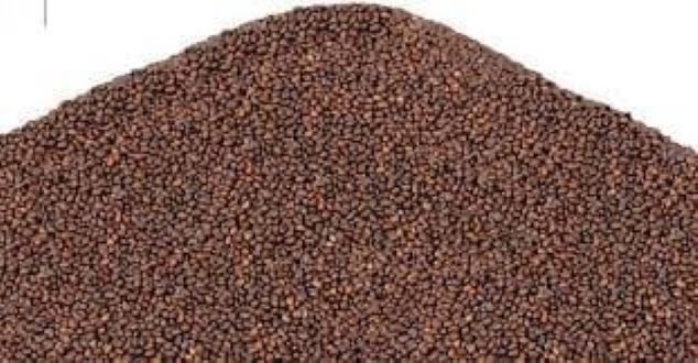 Picture of TALMAKHNA SEEDS-250gm - Marsh Barbel Seed