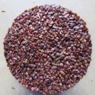 Picture of TALMAKHNA SEEDS-250gm - Marsh Barbel Seed
