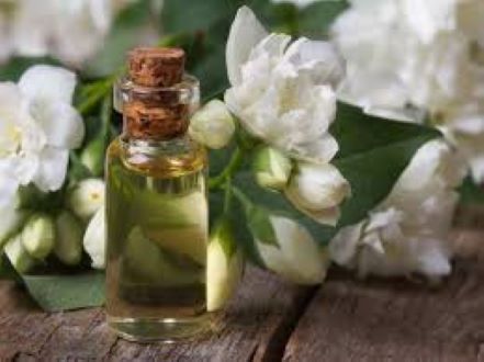 Picture of Jasmine oil/chameli tel -100ml(Chemical Free)