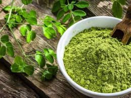 Picture of Sojne Pata Gura / Moringa Leaf Powder(100gm)