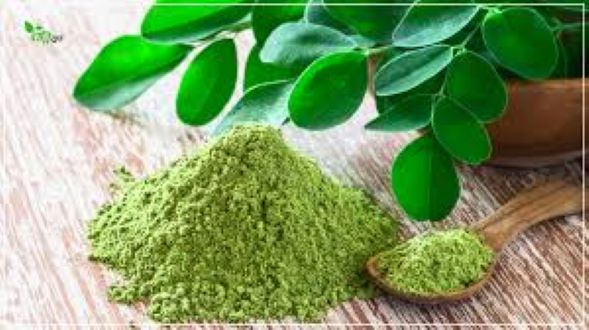 Picture of Sojne Pata Gura / Moringa Leaf Powder(100gm)