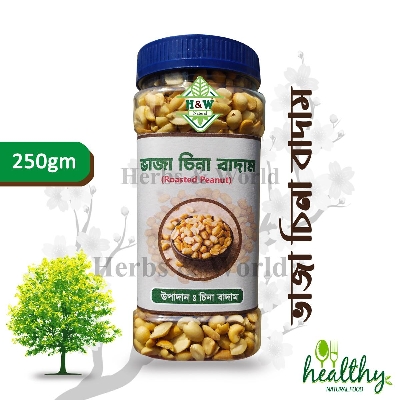 Picture of Dry Roasted Peanut - 250G -China Badam (Jar) - Badam