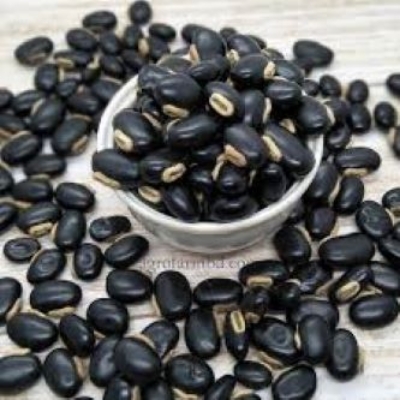 Picture of Pahari Alkushi Seeds (Purified with Milk) - 300 gm
