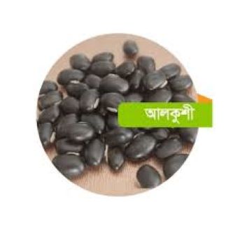Picture of Pahari Alkushi Seeds (Purified with Milk) - 300 gm