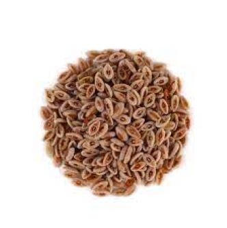 Picture of Isobgul  / Plantago ovata - 250 gm