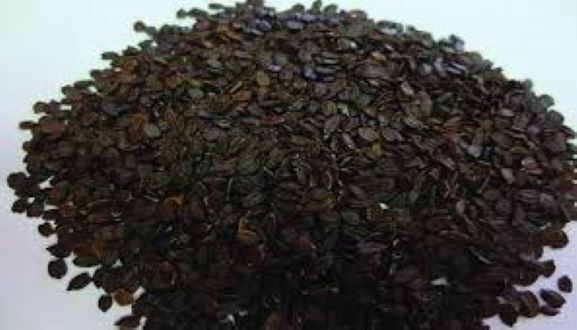 Picture of Tokma Dana /Basil Seed(Clean )-250 gm