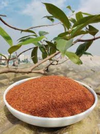 Picture of Halim Dana / Watercress Seeds-250gm-Shahi Dana-Halim Dana