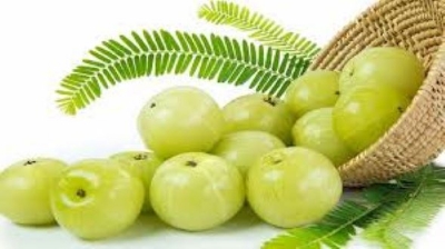 Picture of Amloki Powder (Emblic Gura) -200Gm (Seed Les)-Amalki Powder/Amalki Powder