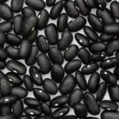 Picture of Kidney Beans/Rajma(Black Kidney Beans) -700gm