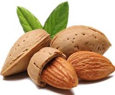 Picture of Almond Nut - Kath Badam - 250gm(JAR)