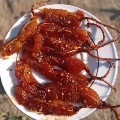 Picture of Tamarind Sour / Tetul ( Fresh Quality) -100gm _Paka Tetul-JAR