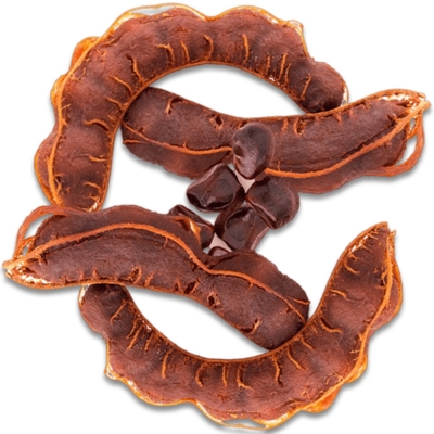 Picture of Tamarind Sour / Tetul ( Fresh Quality) -100gm _Paka Tetul-JAR
