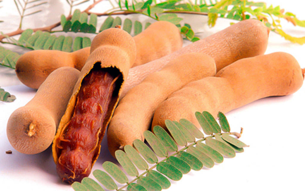 Picture of Tamarind Sour / Tetul ( Fresh Quality) -100gm _Paka Tetul-JAR