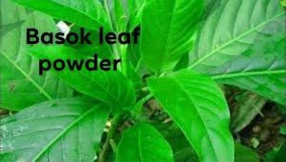 Picture of Basak Leaf Powder -150 gm