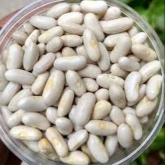 Picture of White Kidney Beans (Rajma) 700 gm/sada rajma