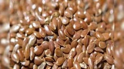 Picture of Brown Flax Seeds (Tishi Seed)-500Gmn(Clean)