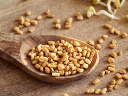 Picture of Fenugreek Seeds/Methi- 250G(Jar Pack) - Gold