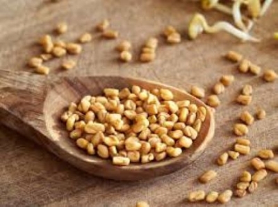 Picture of Fenugreek Seeds/Methi- 250G(Jar Pack) - Gold