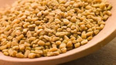 Picture of Fenugreek Seeds/Methi- 250G(Jar Pack) - Gold
