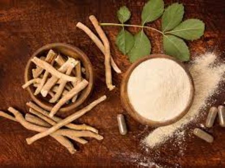 Picture of Alkushi Powder  - 100gm  Ashw    agandha Powder 100gm+Shimul Powder-100gm+Shatomul Powder-100gm=400 gm
