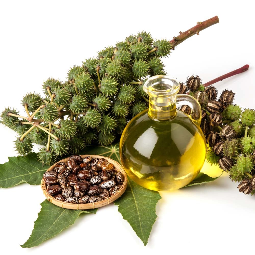 Picture of Castor Oil (Hair Growth & Anti Hair Fall) - 50 ml