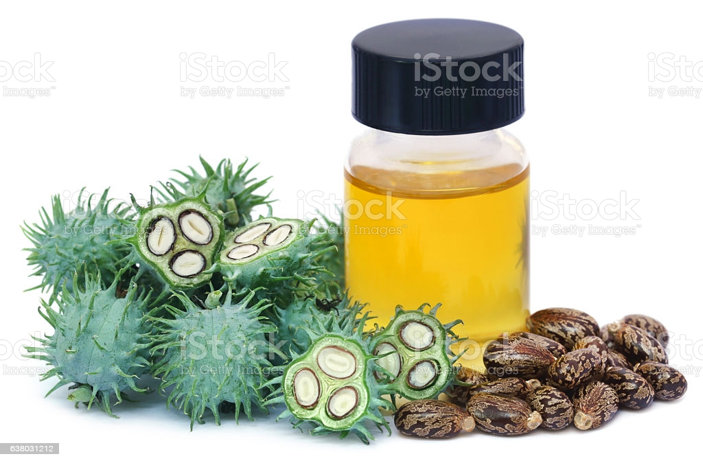 Picture of Castor Oil (Hair Growth & Anti Hair Fall) - 50 ml