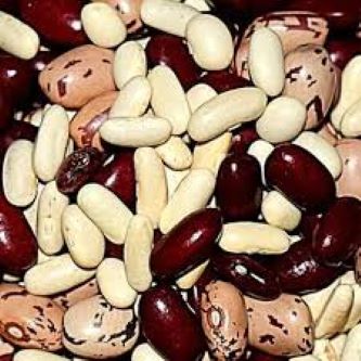 Picture of Mixed Rajma-5 kg-Kidney Beans ( White+Black+Red)