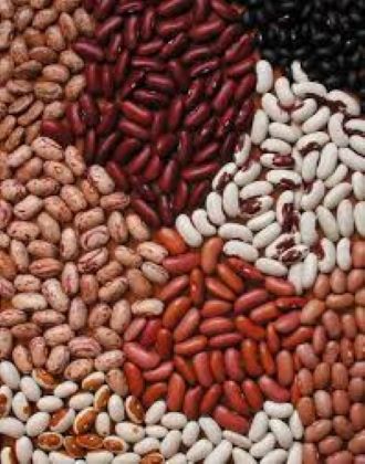 Picture of Mixed Rajma-5 kg-Kidney Beans ( White+Black+Red)