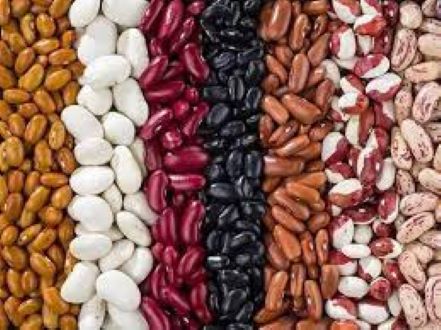 Picture of Mixed Rajma-2kg-Kidney Beans -White+Black+Red