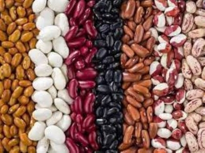 Picture of Mixed Rajma-2kg-Kidney Beans -White+Black+Red