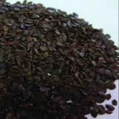 Picture of Tokma Dana  -1 kg
