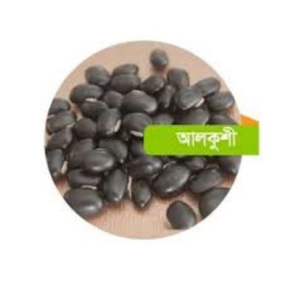 Picture of Pahari Alkushi Seeds (Purified with milk) - 300 gm