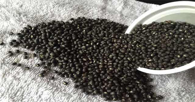 Picture of Mashkalai Dal - 1 Kg- Non Processing Mashkalai- Raw MashKalai