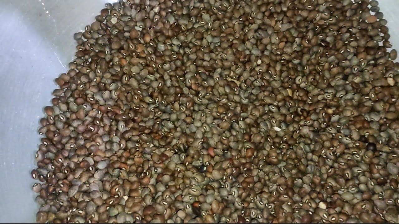 Picture of Quality Felon Dal - 500gm/ Helon Dal
