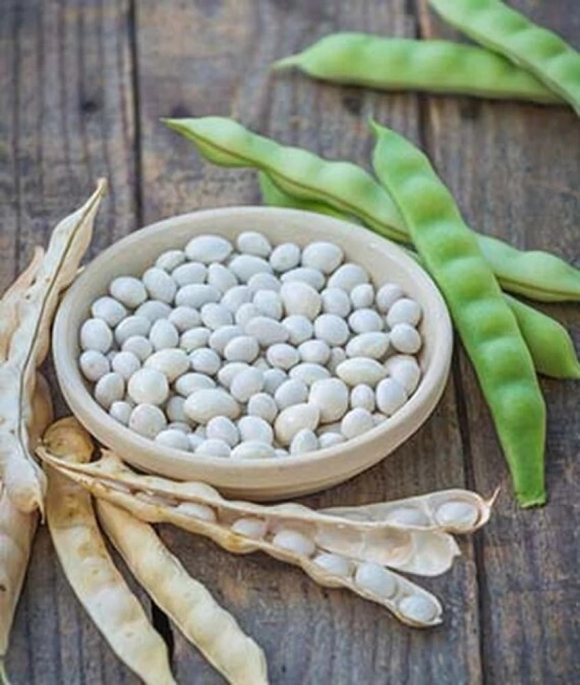 Picture of White Bean Seed-1 kg / Sada shimer bij