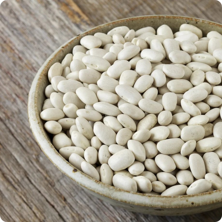 Picture of White Bean Seed-1 kg / Sada shimer bij
