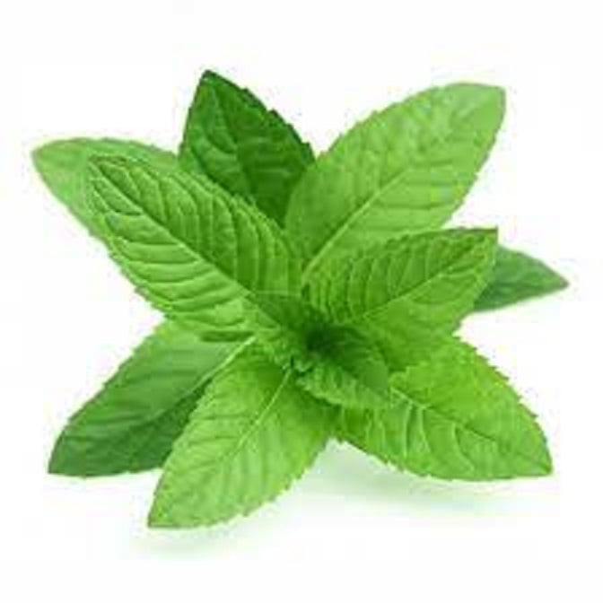 Picture of Mint Leaf Powder- 200Gm (Pudina Pata Gura) - Chia Seed