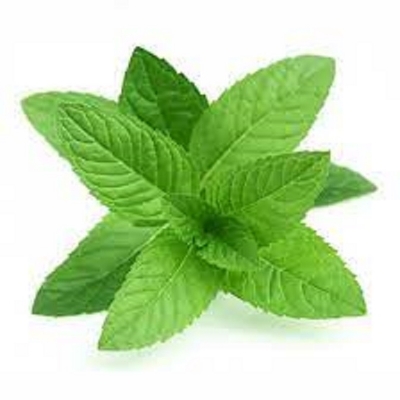 Picture of Mint Leaf Powder- 200Gm (Pudina Pata Gura) - Chia Seed