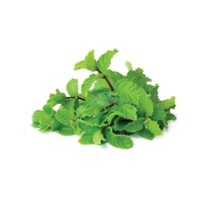 Picture of Mint Leaf Powder- 200Gm (Pudina Pata Gura) - Chia Seed