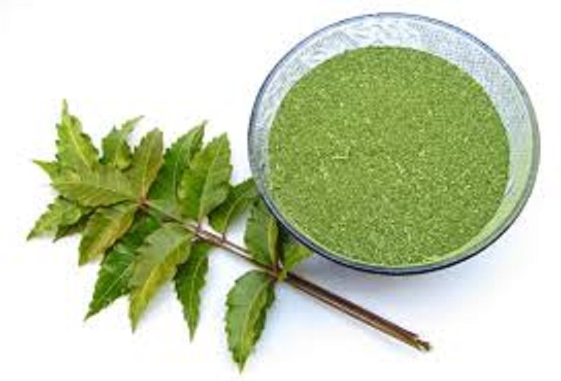 Picture of Neem Pata Gura (Powder)-200 gm