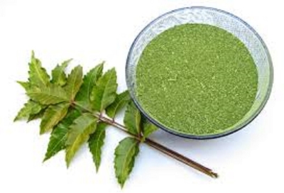 Picture of Neem Pata Gura (Powder)-200 gm