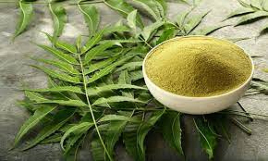 Picture of Neem Pata Gura (Powder)-200 gm