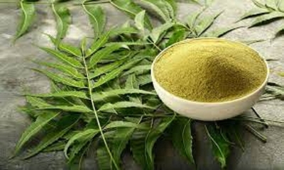 Picture of Neem Pata Gura (Powder)-200 gm