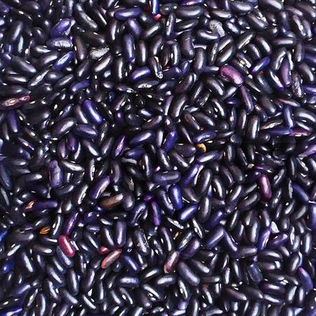 Picture of Black Kidney Beans (Rajma) 5 kg
