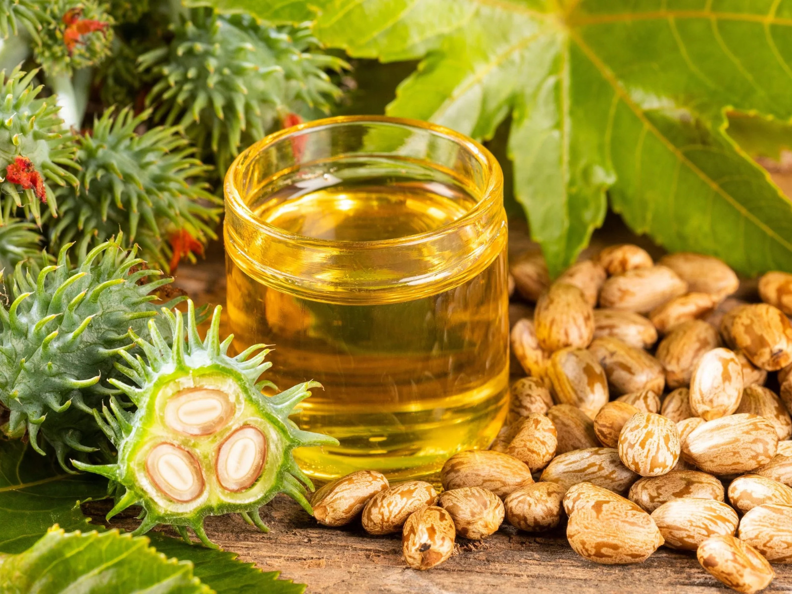 Picture of Castor Oil/ Venna Tel- 100 mili