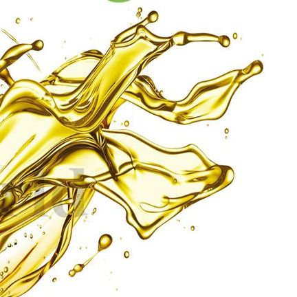 Picture of Extra Virgin Oilive Oil-100ml