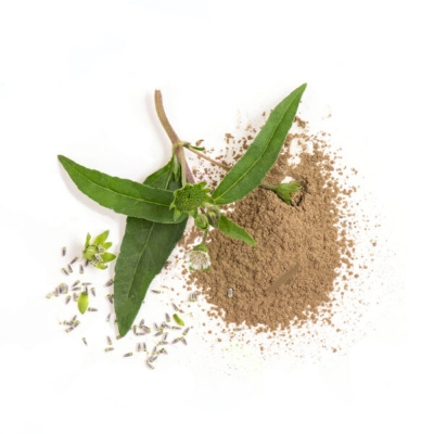 Picture of Basil powder/ Tulsi Gura 100 gm