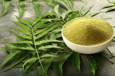 Picture of Basil powder/ Tulsi Gura 100 gm
